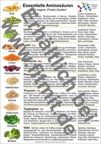 Vorderes Coverbild Aminosäuren und vegane Protein-Quellen