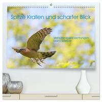 Vorderes Coverbild Spitze Krallen und scharfer Blick - Verhalten Sperber (hochwertiger Premium Wandkalender 2025 DIN A2 quer), Kunstdruck in Hochglanz