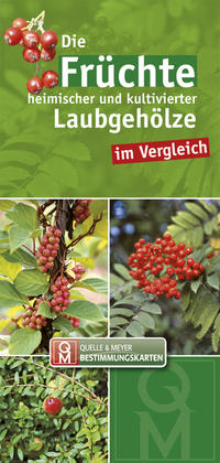 Vorderes Coverbild Die Früchte heimischer und kultivierter Laubgehölze im Vergleich