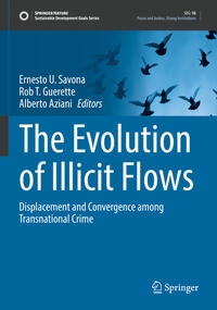 Vorderes Coverbild The Evolution of Illicit Flows