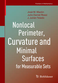 Vorderes Coverbild Nonlocal Perimeter, Curvature and Minimal Surfaces for Measurable Sets