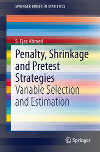Vorderes Coverbild Penalty, Shrinkage and Pretest Strategies