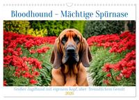 Vorderes Coverbild Bloodhound - Mächtige Spürnase (Wandkalender 2026 DIN A3 quer), CALVENDO Monatskalender