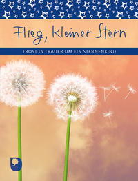 Vorderes Coverbild Flieg, kleiner Stern