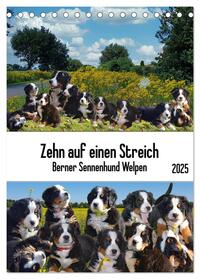 Vorderes Coverbild Zehn auf einen Streich (Tischkalender 2025 DIN A5 hoch), CALVENDO Monatskalender