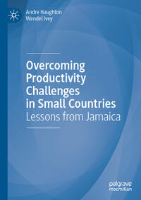 Vorderes Coverbild Overcoming Productivity Challenges in Small Countries