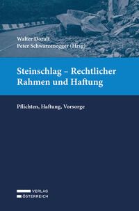 Vorderes Coverbild Steinschlag - Rechtlicher Rahmen und Haftung
