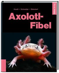 Vorderes Coverbild Axolotl-Fibel