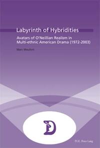 Vorderes Coverbild Labyrinth of Hybridities