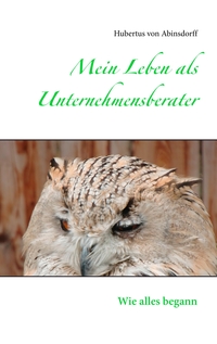 Vorderes Coverbild Mein Leben als Unternehmensberater
