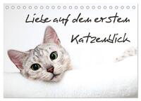 Vorderes Coverbild Liebe auf den ersten Katzenblick (Tischkalender 2025 DIN A5 quer), CALVENDO Monatskalender