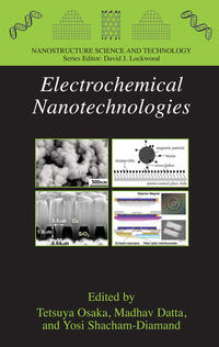 Vorderes Coverbild Electrochemical Nanotechnologies