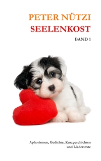 Vorderes Coverbild Seelenkost Band 1
