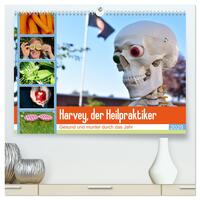 Vorderes Coverbild Harvey, der Heilpraktiker (hochwertiger Premium Wandkalender 2025 DIN A2 quer), Kunstdruck in Hochglanz