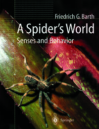 Vorderes Coverbild A Spider’s World