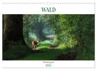 Vorderes Coverbild WALD Erholung pur (Wandkalender 2025 DIN A3 quer), CALVENDO Monatskalender