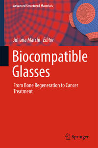 Vorderes Coverbild Biocompatible Glasses
