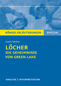 Vorderes Coverbild Löcher