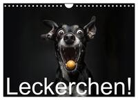 Vorderes Coverbild Leckerchen! (Wandkalender 2026 DIN A4 quer), CALVENDO Monatskalender