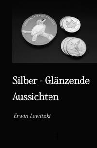 Vorderes Coverbild Silber - Glänzende Aussichten