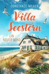 Vorderes Coverbild Villa Seestern - Ein neuer Wind