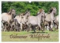 Vorderes Coverbild Dülmener Wildpferde (Wandkalender 2025 DIN A3 quer), CALVENDO Monatskalender
