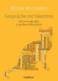 Vorderes Coverbild Gespräche mit Valentino