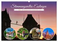 Vorderes Coverbild Stimmungsvolles Esslingen (Wandkalender 2025 DIN A2 quer), CALVENDO Monatskalender