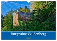 Vorderes Coverbild Burg Wildenberg (Wandkalender 2025 DIN A3 quer), CALVENDO Monatskalender