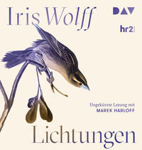Vorderes Coverbild Lichtungen
