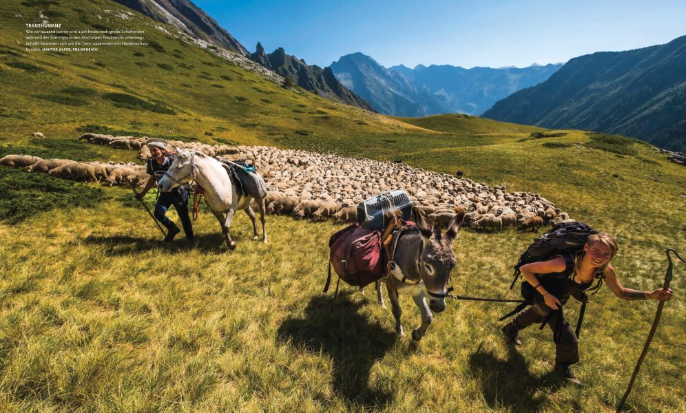 Beispielinhalt (Bild) NATIONAL GEOGRAPHIC