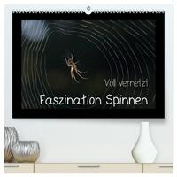 Vorderes Coverbild Voll vernetzt - Faszination Spinnen (hochwertiger Premium Wandkalender 2025 DIN A2 quer), Kunstdruck in Hochglanz