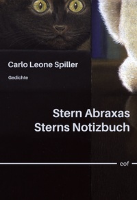 Vorderes Coverbild Stern Abraxas Sterns Notizbuch