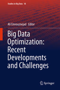 Vorderes Coverbild Big Data Optimization: Recent Developments and Challenges