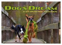 Vorderes Coverbild DOG'S DREAM - wovon Hunde träumen (Wandkalender 2025 DIN A2 quer), CALVENDO Monatskalender