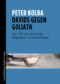 Vorderes Coverbild Davids gegen Goliath