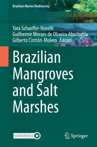 Vorderes Coverbild Brazilian Mangroves and Salt Marshes