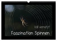 Vorderes Coverbild Voll vernetzt - Faszination Spinnen (Wandkalender 2025 DIN A3 quer), CALVENDO Monatskalender