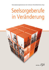 Vorderes Coverbild Seelsorgeberufe in Veränderung
