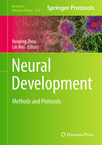 Vorderes Coverbild Neural Development