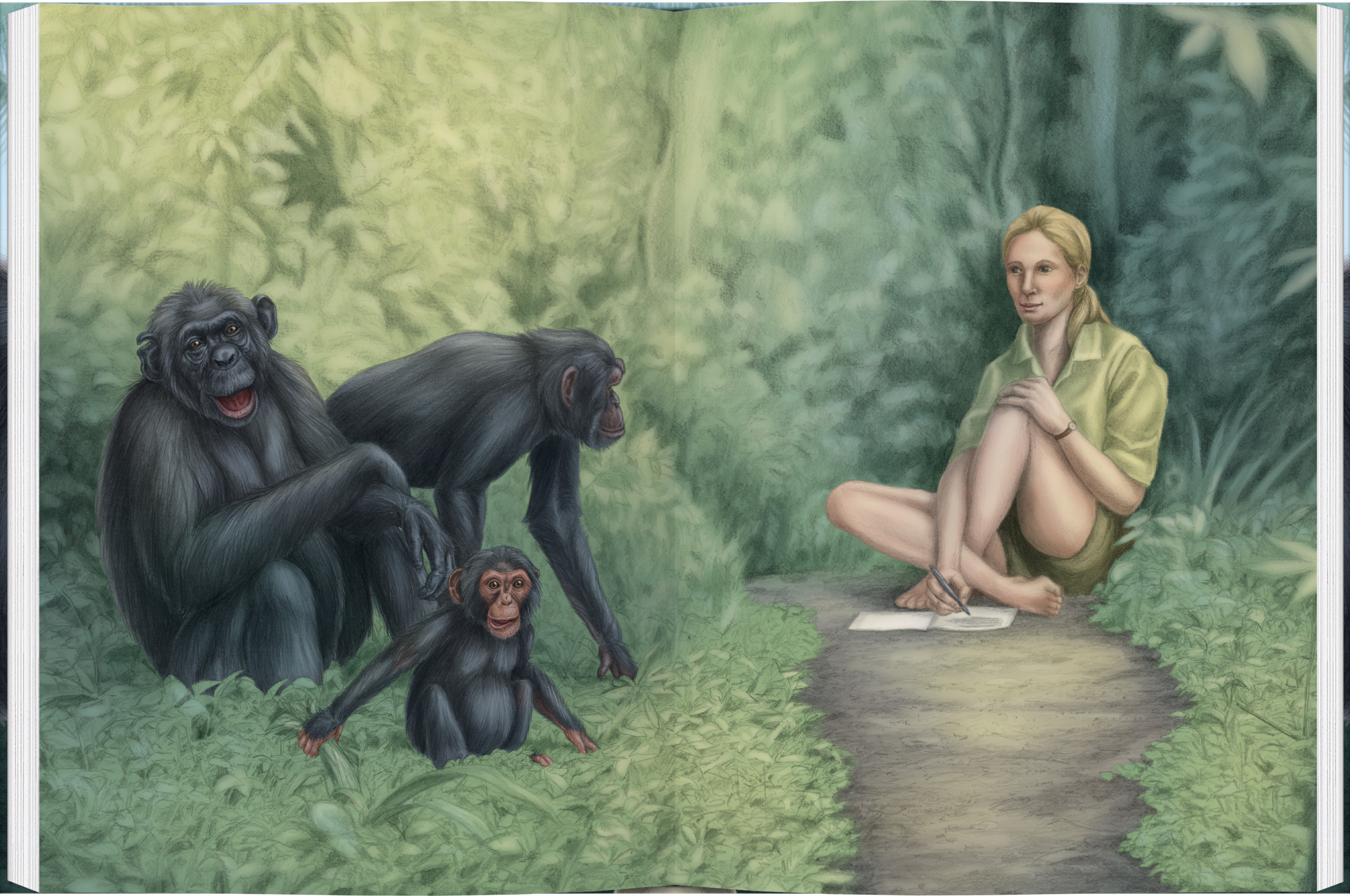 Beispielinhalt (Bild) Mit Jane Goodall bei den wilden Schimpansen