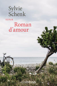 Vorderes Coverbild Roman d'amour