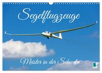 Vorderes Coverbild Meister in der Schwebe: Segelflugzeuge (Wandkalender 2026 DIN A3 quer), CALVENDO Monatskalender