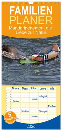 Vorderes Coverbild Familienplaner 2026 - Mandarinenenten, die Liebe zur Natur mit 5 Spalten (Wandkalender, 21 x 45 cm) CALVENDO