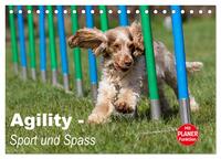 Vorderes Coverbild Agility - Sport und Spass (Tischkalender 2025 DIN A5 quer), CALVENDO Monatskalender