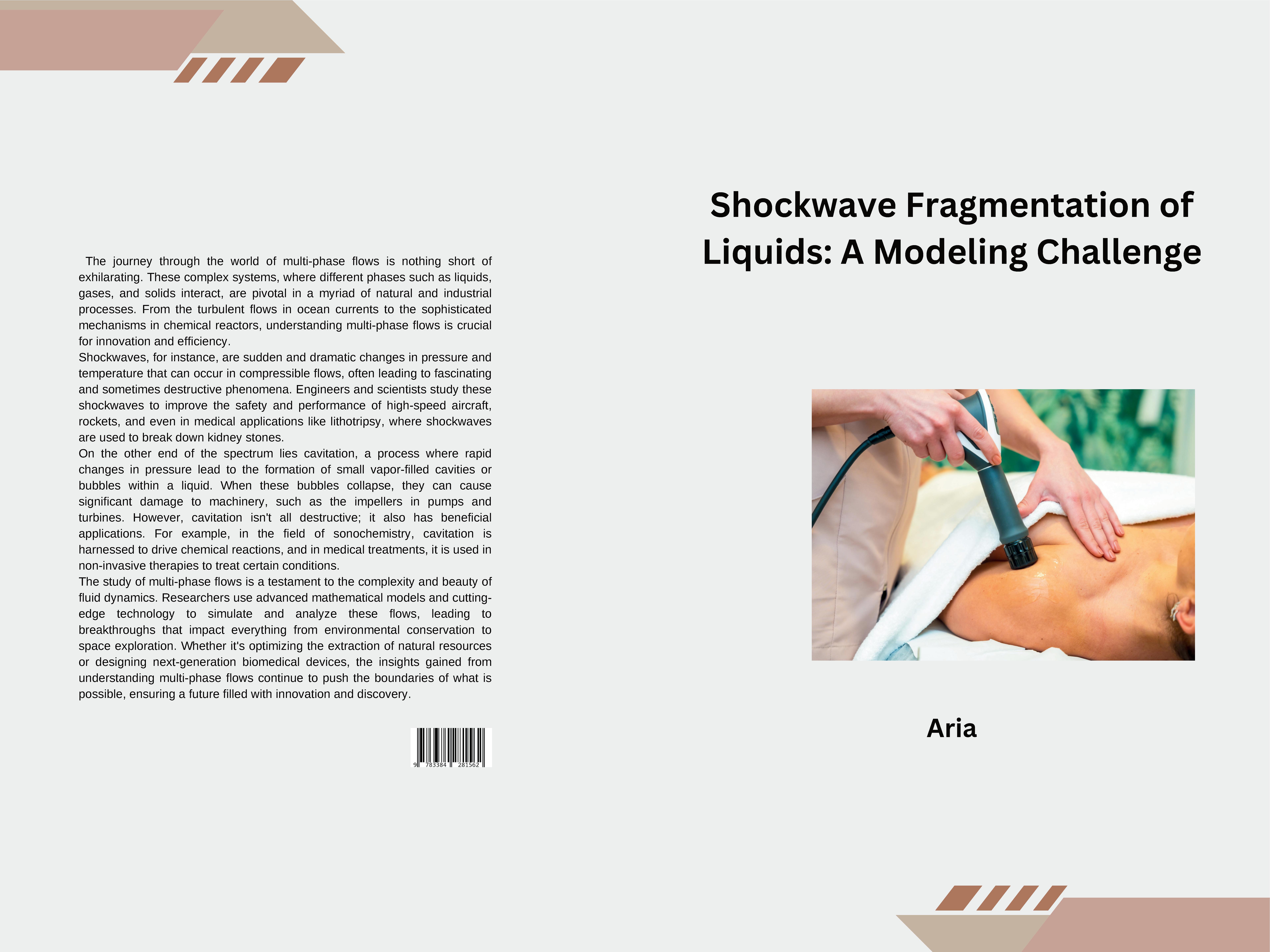 Gesamtes Coverbild Shockwave Fragmentation of Liquids: A Modeling Challenge