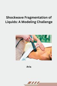 Vorderes Coverbild Shockwave Fragmentation of Liquids: A Modeling Challenge