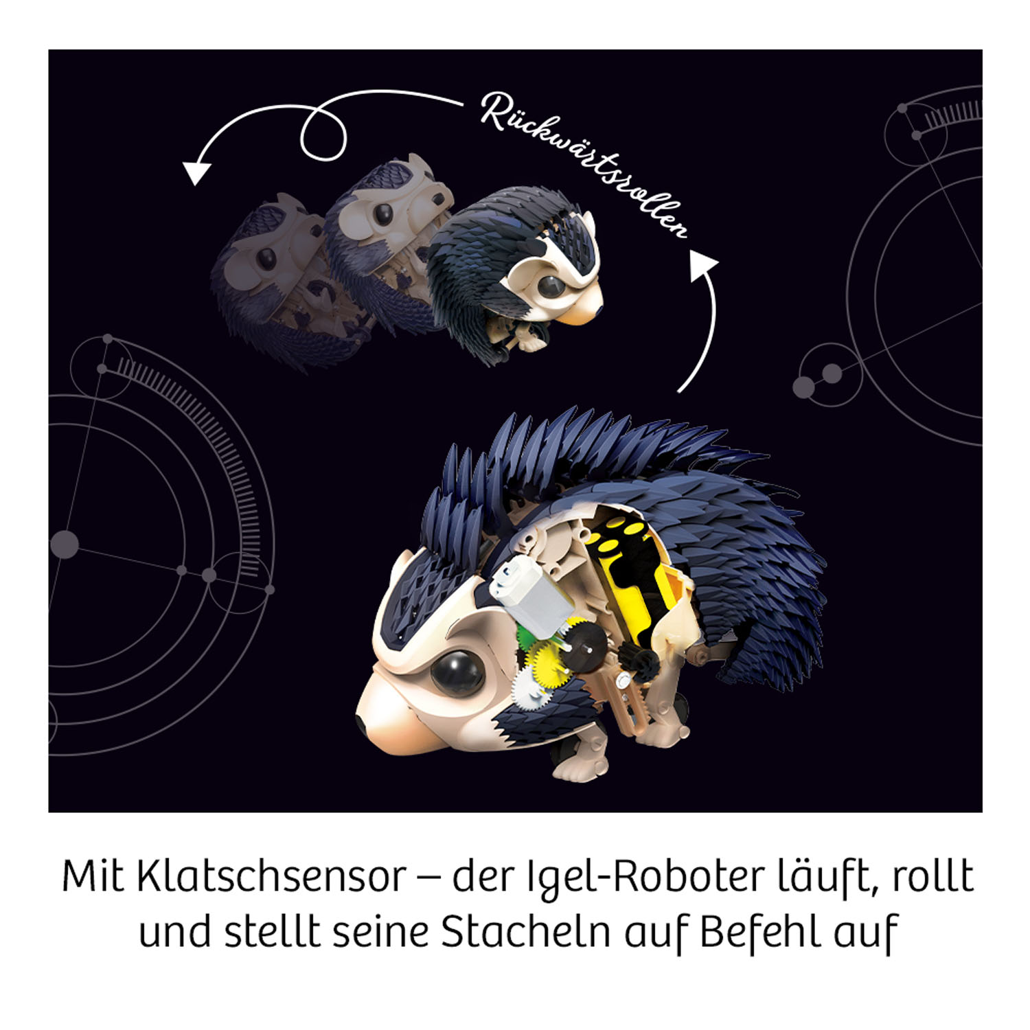 Beispielinhalt (Bild) Nuna - Dein Igel-Roboter