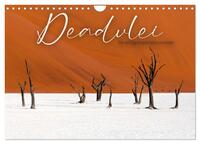 Vorderes Coverbild Deadvlei - Ein einzigartiges Naturwunder. (Wandkalender 2025 DIN A4 quer), CALVENDO Monatskalender