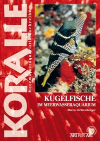 Vorderes Coverbild Kugelfische im Meerwasseraquarium